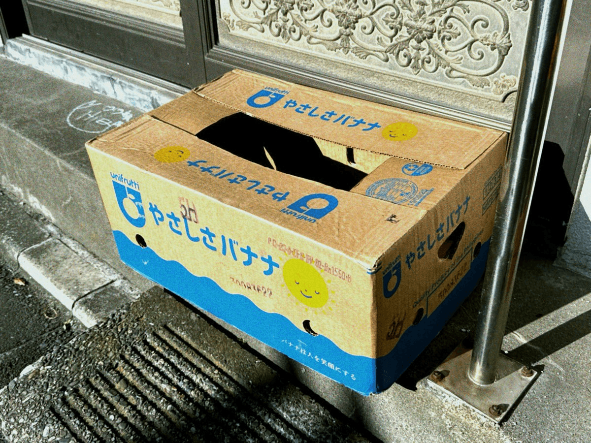 A discarded box printed with “Kindness Banana”
