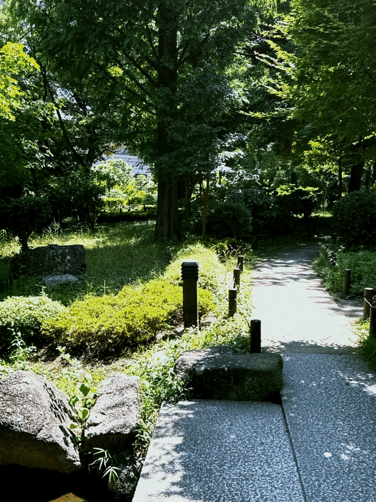 A green, quiet shortcut linking Yasuda Garden and Yokamicho Park